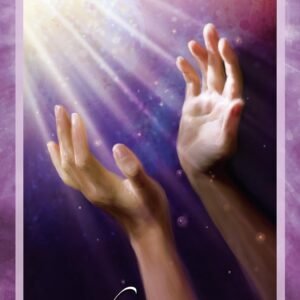 Chakra insight 8