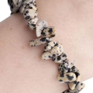 Dalmatian Jasper bracelet 2