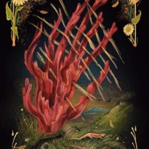 Midnight magic 11