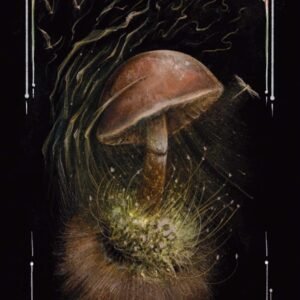 Midnight magic 12