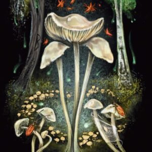 Midnight magic 9