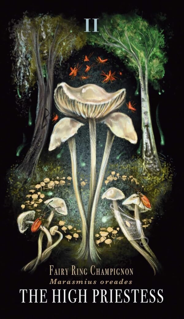 Midnight magic 9