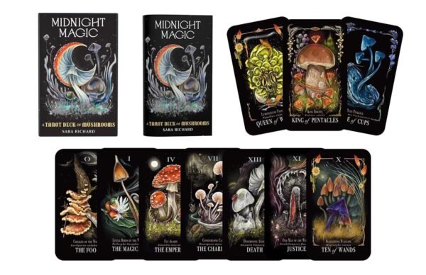 Midnight magic2