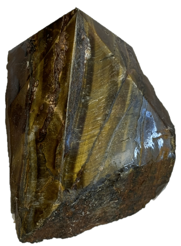 tigers eye Teye h2