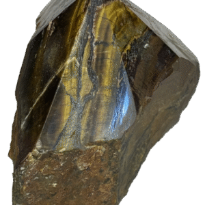 tigers eye Teye h4