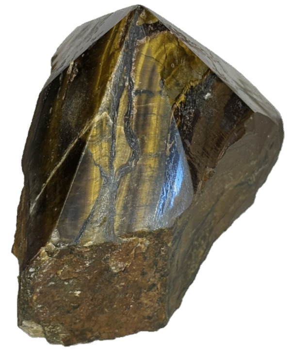 tigers eye Teye h4
