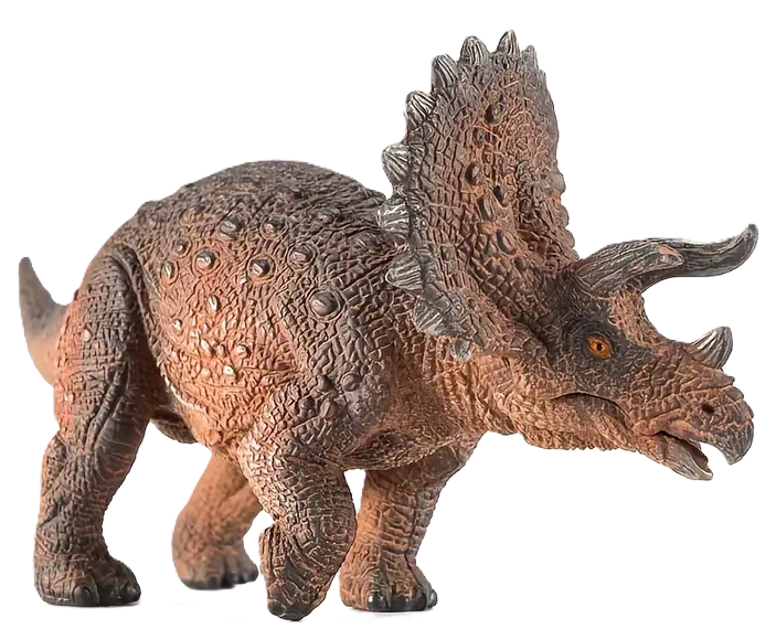 Triceratop