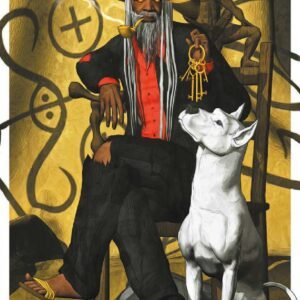 Voodoo tarot kit c