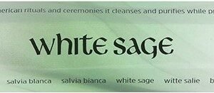 White sage incense sticks