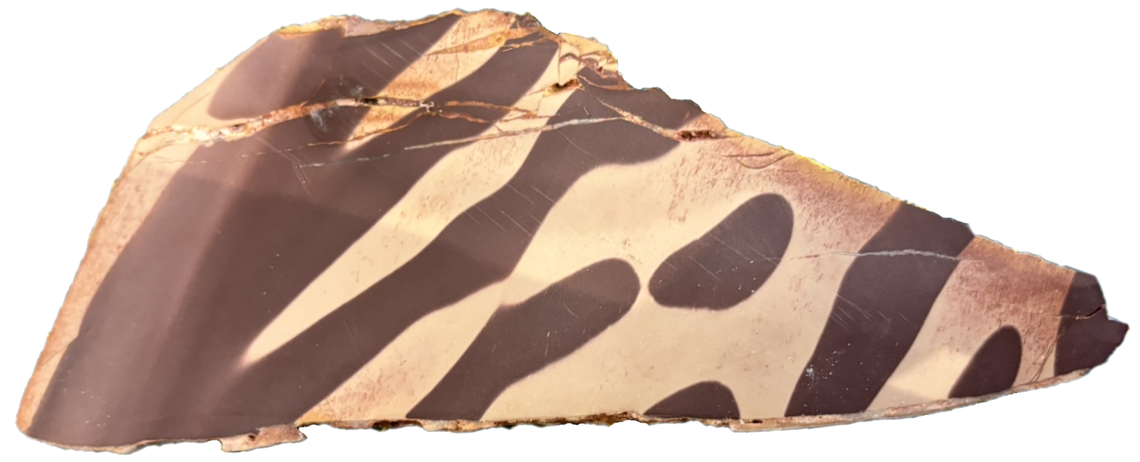 Zebra rock2 - Sians Emporium Zebra rock2