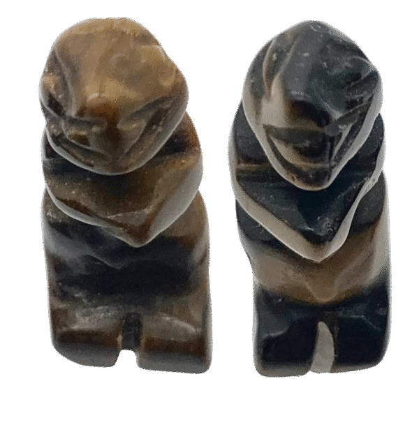 tigers eye mini trex 4