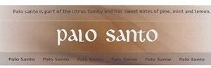 palo santo incense sticks