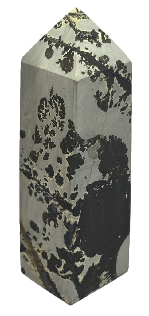 Picture jasper 21