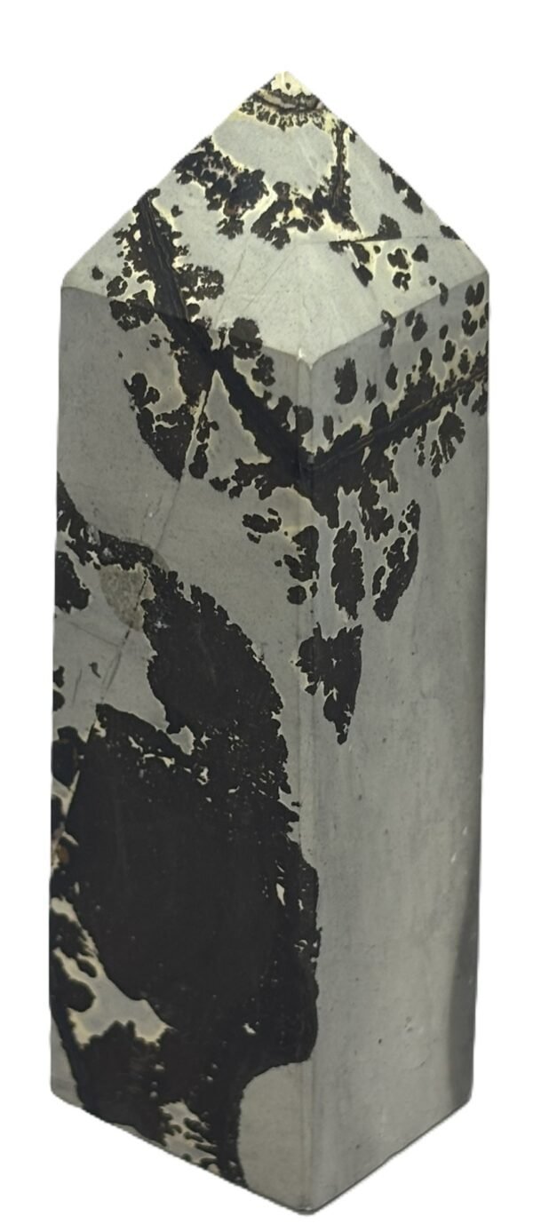 picture jasper 22 - Sians Emporium picture jasper 22