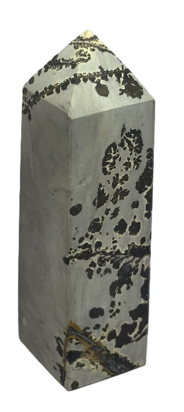 picture jasper 23 - Sians Emporium picture jasper 23