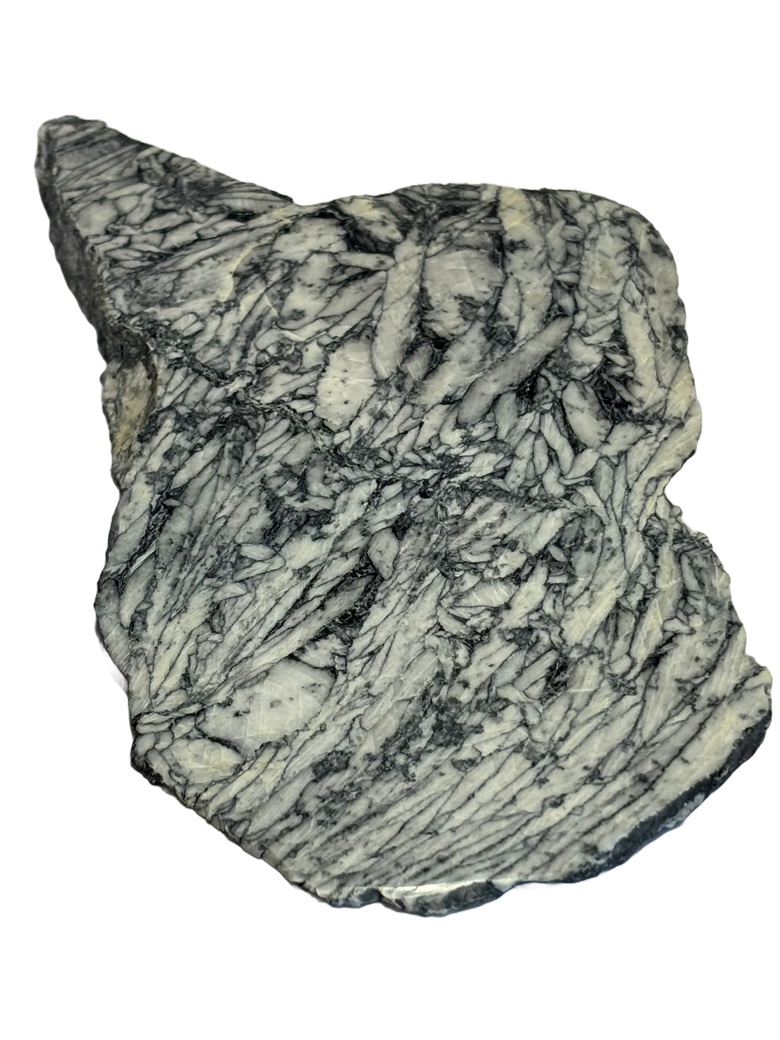 pinalite pinc 1 - Sians Emporium pinalite pinc 1