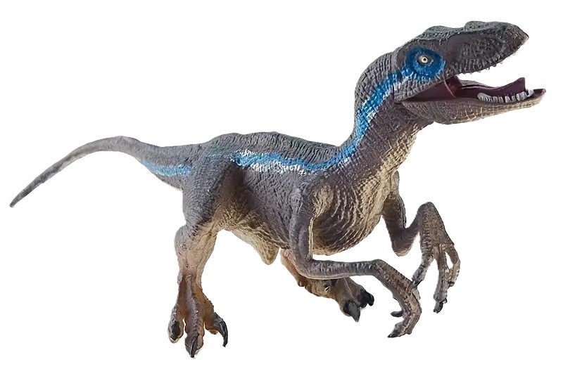 raptor - Sians Emporium raptor