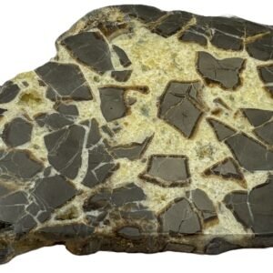 septarian 51 - Sians Emporium septarian 51