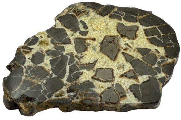 septarian 51 - Sians Emporium septarian 51