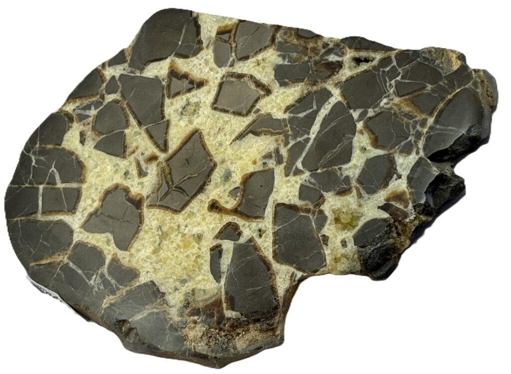 septarian 52
