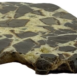 septarian 53 - Sians Emporium septarian 53