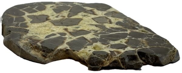 septarian 53 - Sians Emporium septarian 53