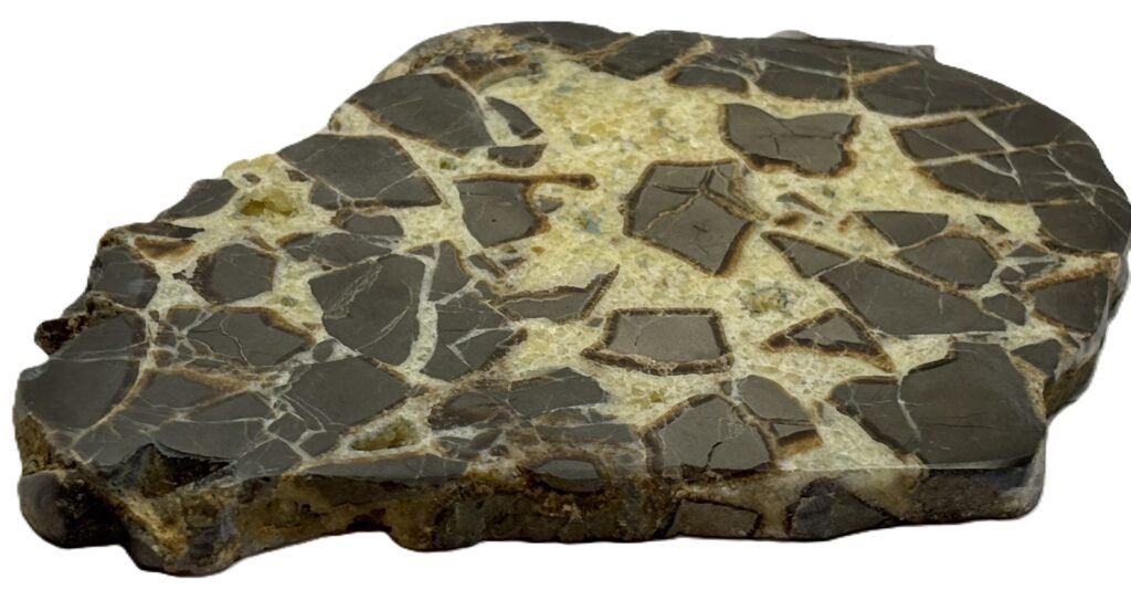 septarian 54
