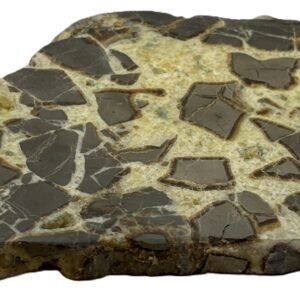 septarian 54 - Sians Emporium septarian 54