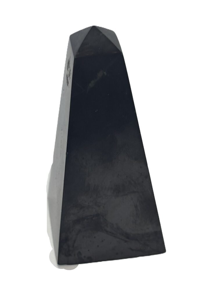 Shungite 121