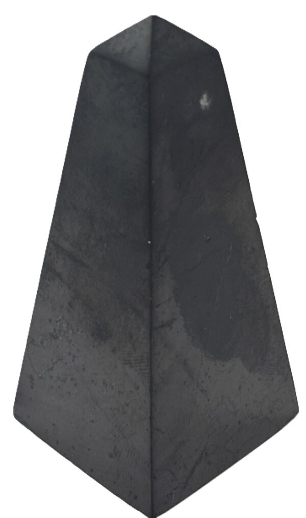 shungite 122