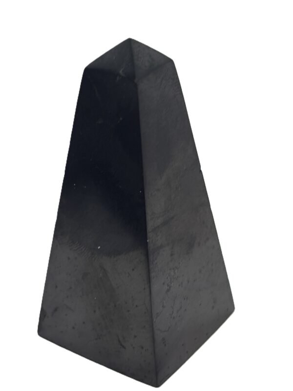 shungite 123