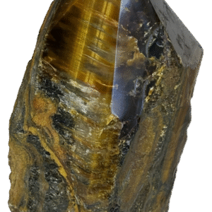 tigers eye feye f1