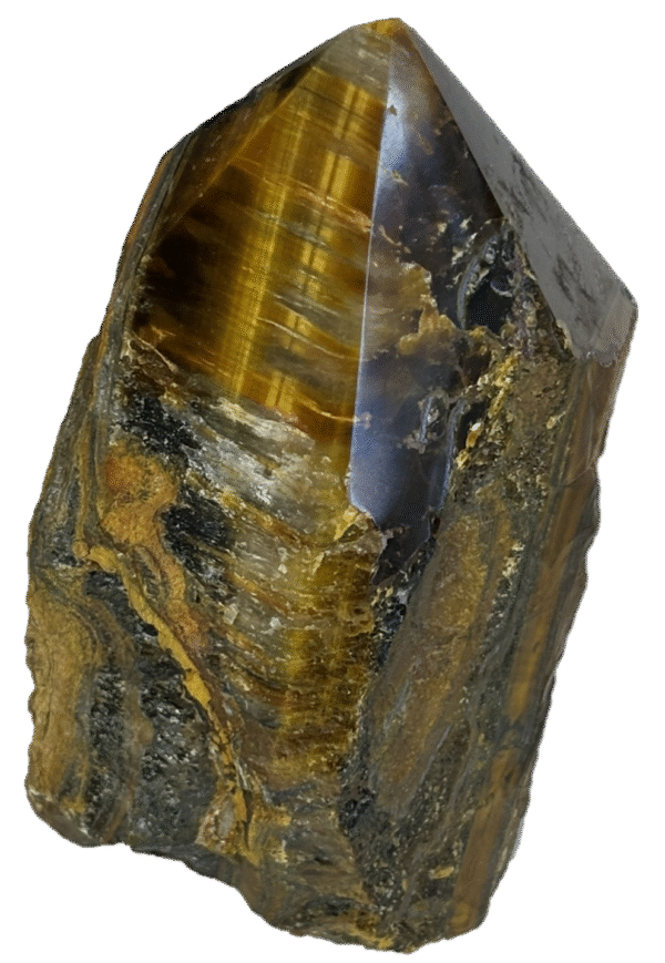tigers eye feye f1