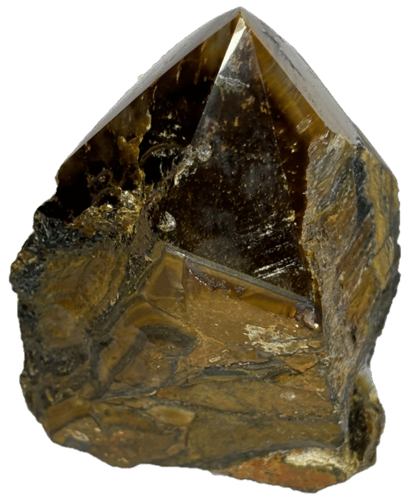 tigers eye feye f5