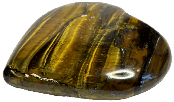 tigers eye teye l3