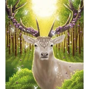 universal Celtic tarot 3