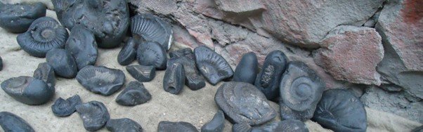 Horn stones
