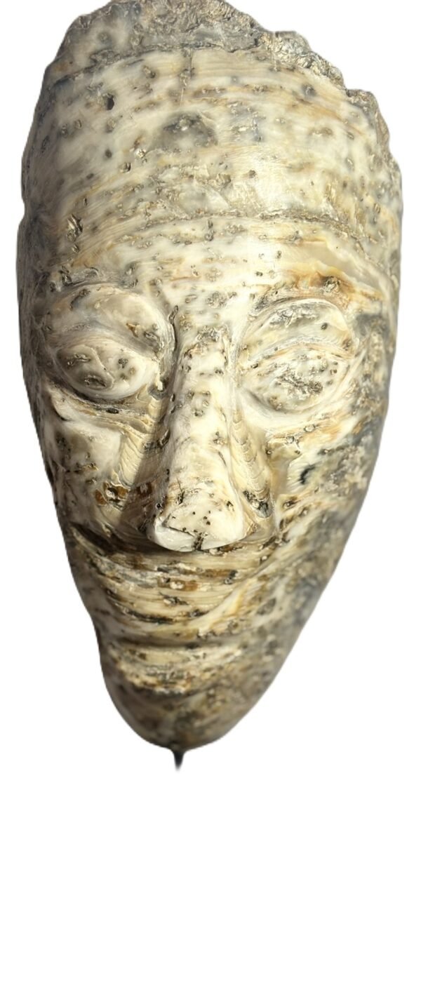 Oyster Face 1.1 - Sians Emporium Oyster Face 1.1