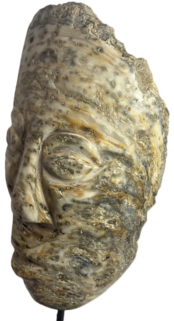 Oyster Face 1.3 - Sians Emporium Oyster Face 1.3