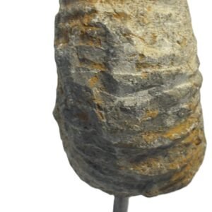 ammonite stand 4.6