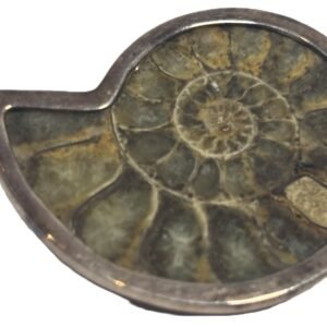 ammonite pendant b.1