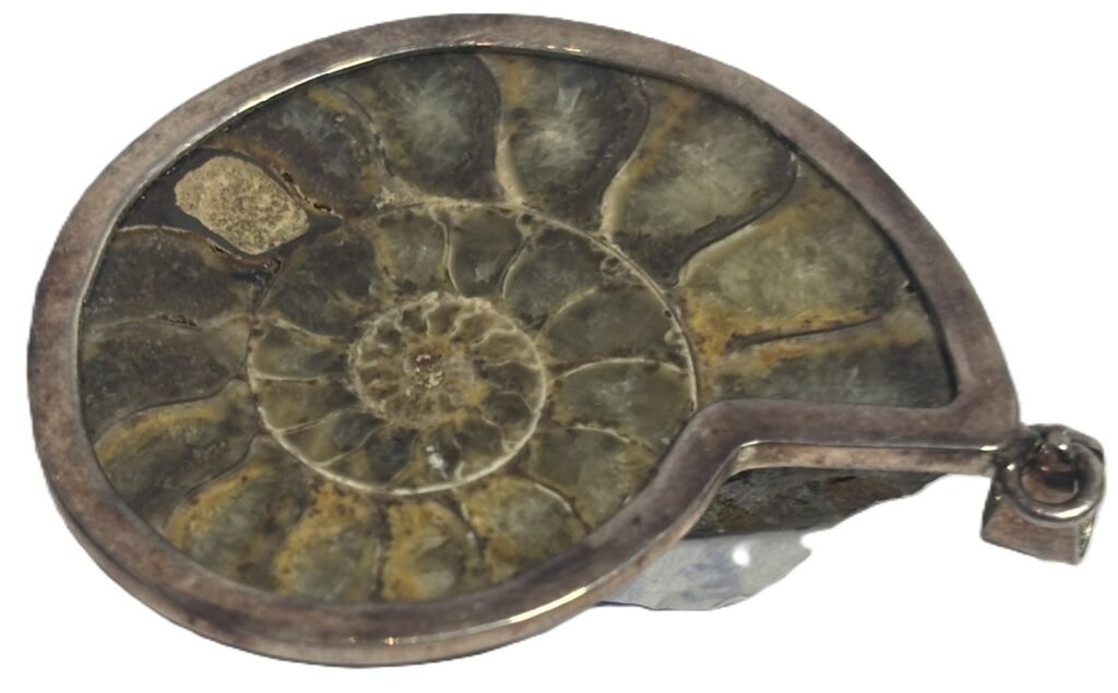 ammonite pendant b..2 - Sians Emporium ammonite fossil pendant b..2