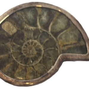ammonite pendant b.3