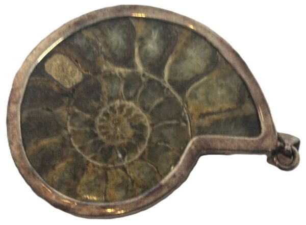 ammonite pendant b.3