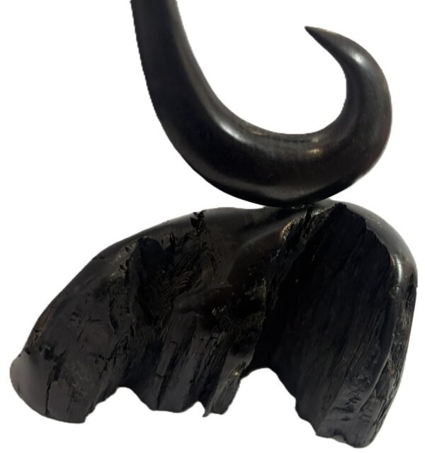 bog oak 2
