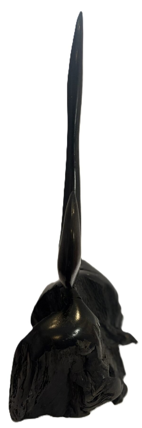 bog oak 3