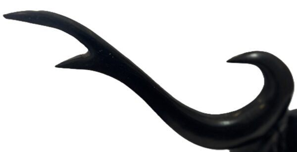 bog oak 4