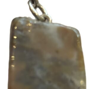coprolite 1
