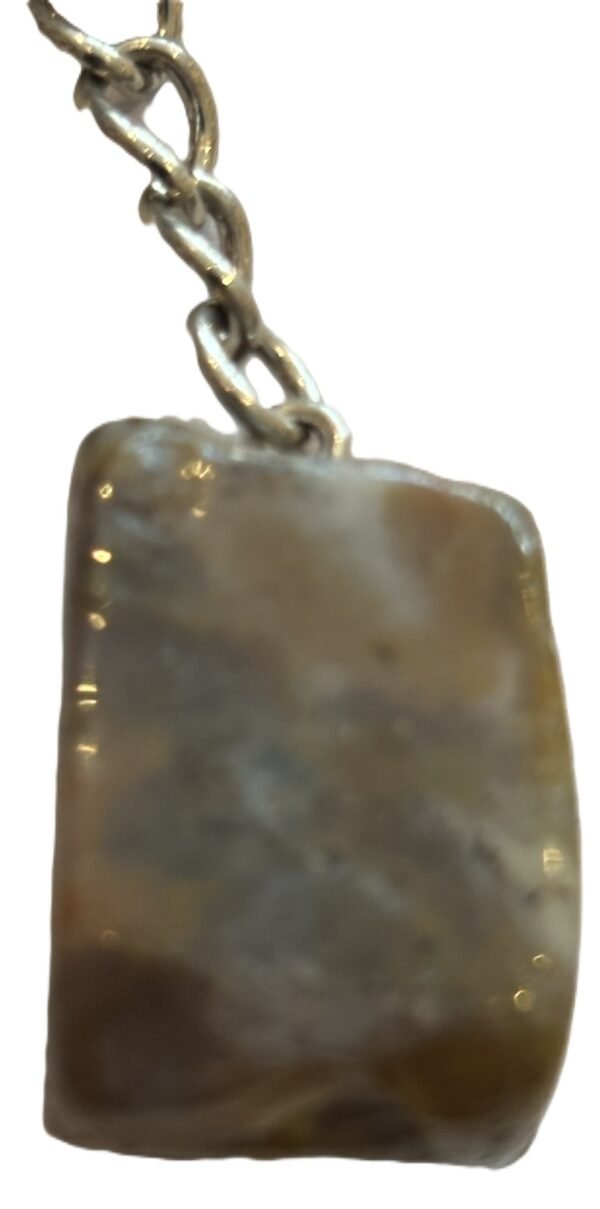 coprolite 1