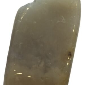 coprolite 3